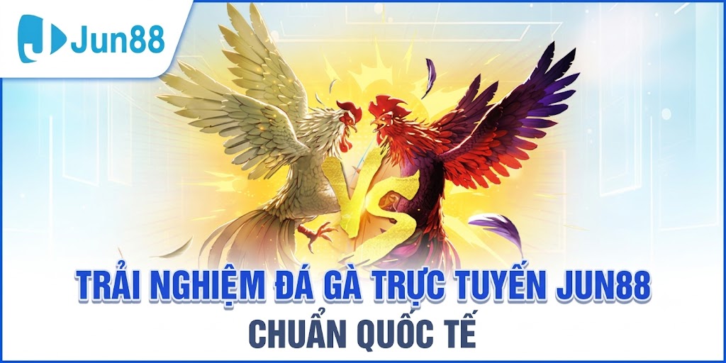 Các loại cược Đá Gà Jun88 phổ biến